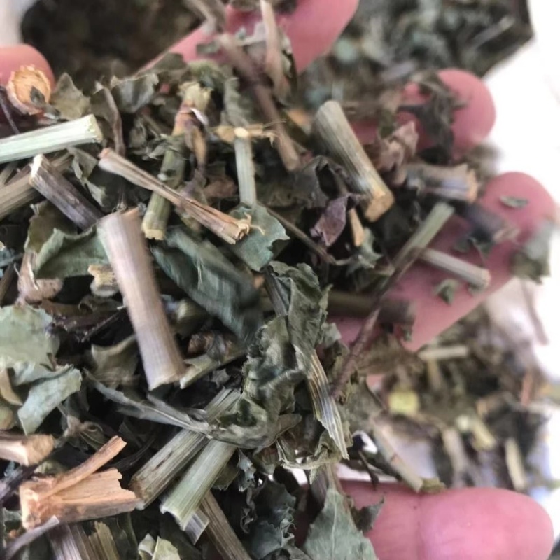 白花丹冷背中药材大全批发零售货真价实假一赔十