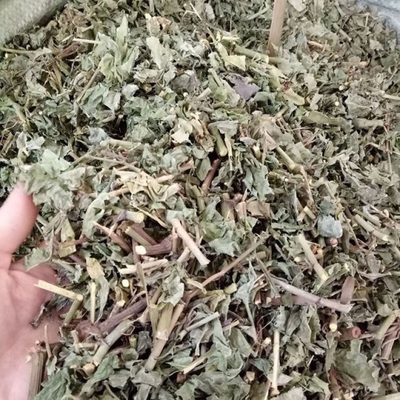 白花丹冷背中药材大全批发零售货真价实假一赔十