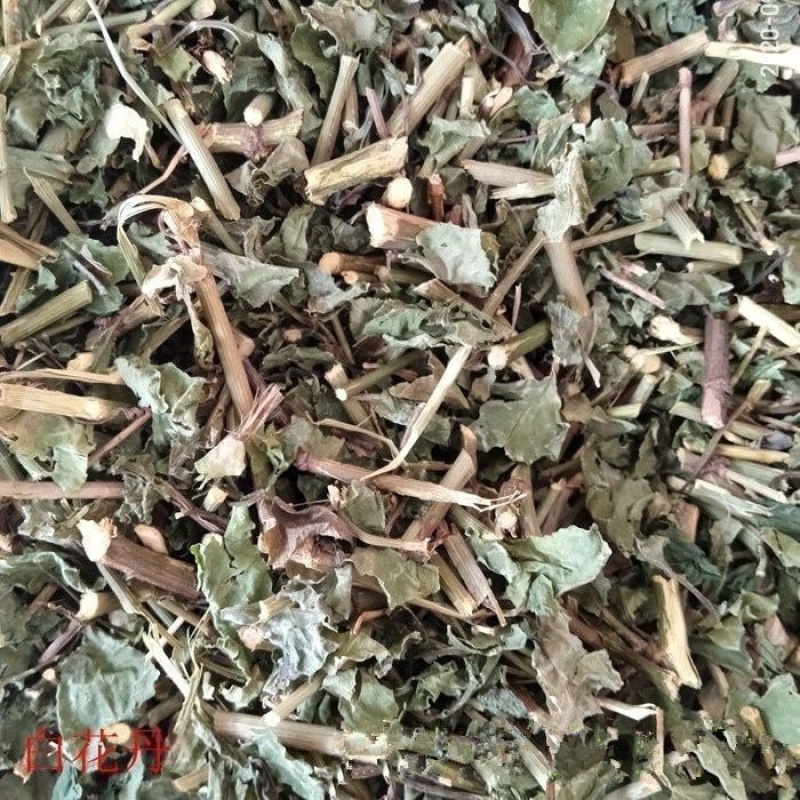 白花丹冷背中药材大全批发零售货真价实假一赔十