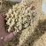 笋干丁【玉兰笋丁】笋干肉包专用免泡免切开袋即用