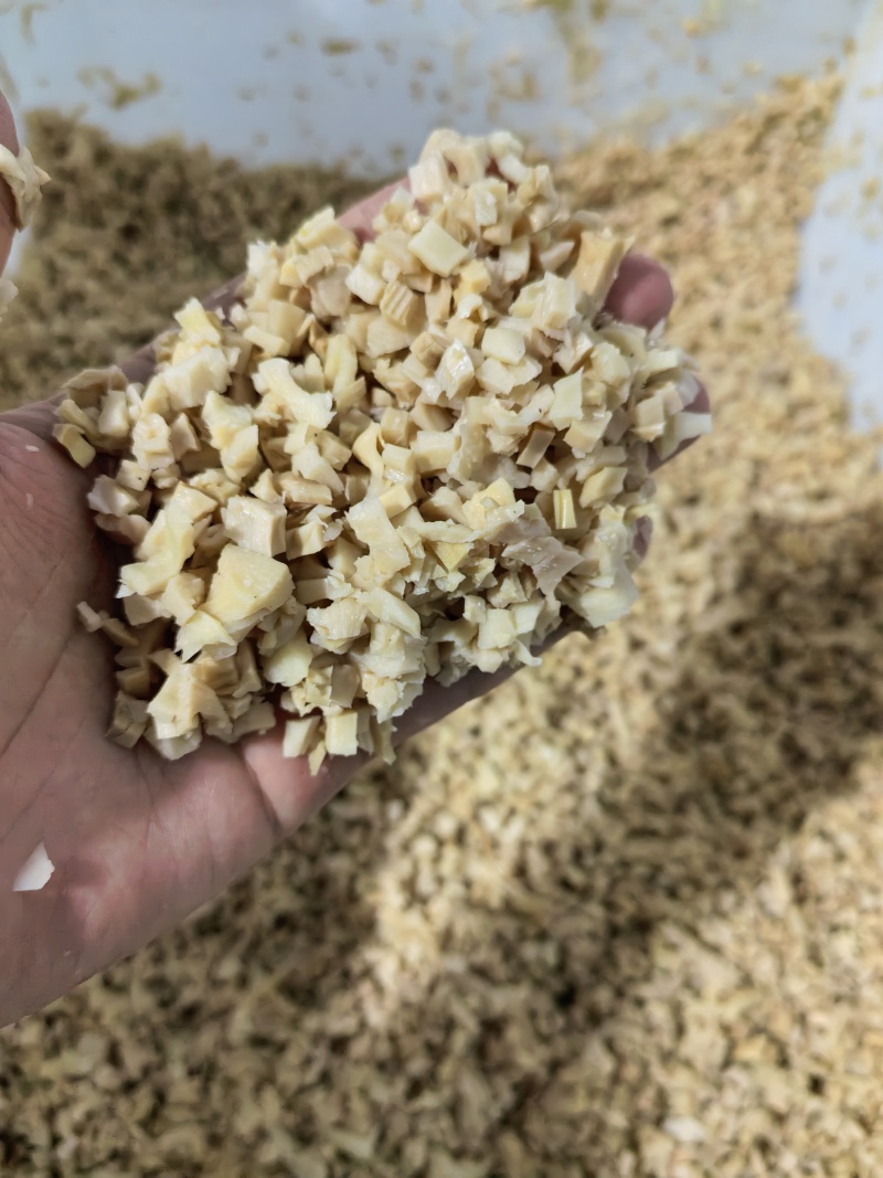 笋干丁【玉兰笋丁】笋干肉包专用免泡免切开袋即用