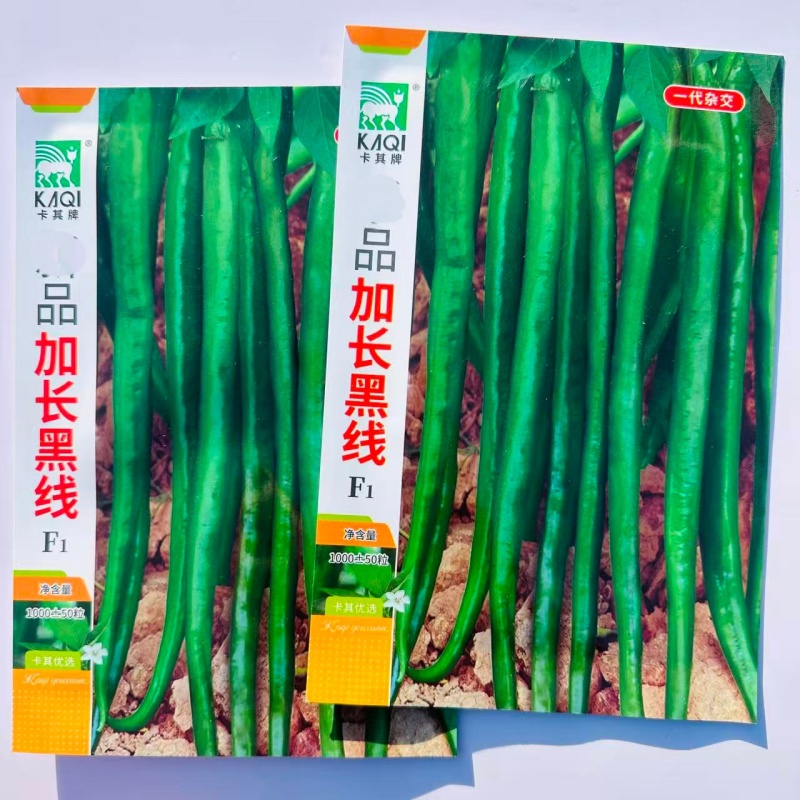 卡其加长黑线辣椒种子中早熟抗病抗逆性强辣度强线椒种子