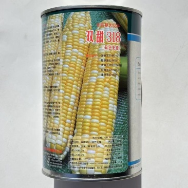 双甜318玉米种子加甜型鲜食玉米种子籽粒黄白双色玉米种子