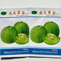 众天翠宝甜瓜种子早中熟果皮深绿色果肉绿色绿宝甜瓜种子