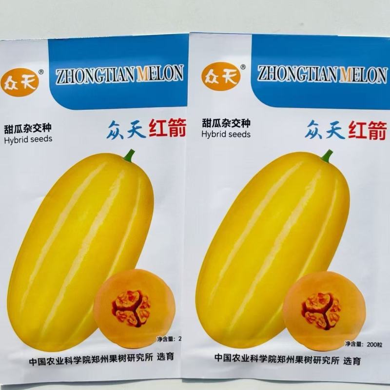 众天红箭甜瓜种子早熟薄厚皮果肉橙色黄皮香瓜种子肉质细脆爽