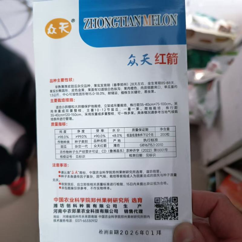 众天红箭甜瓜种子早熟薄厚皮果肉橙色黄皮香瓜种子肉质细脆爽