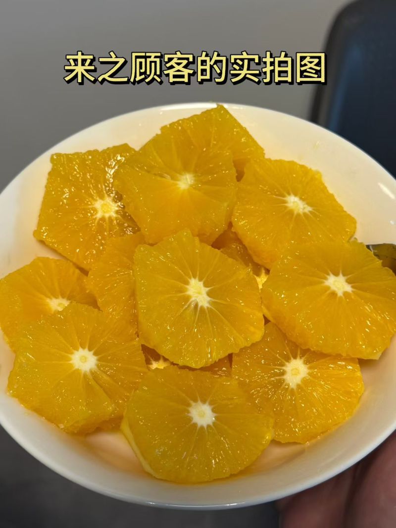 湖南麻阳正宗冰糖橙