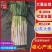 【优选】山东大葱长白大葱现挖大葱毛葱净葱规格齐全