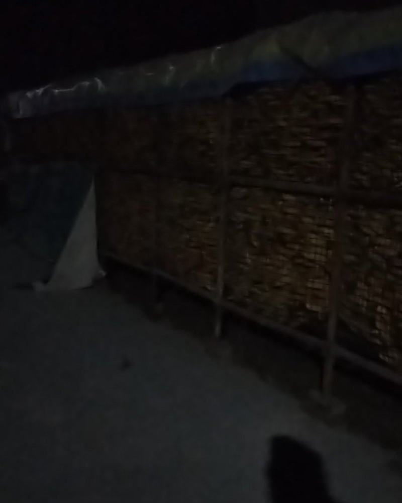玉米棒
