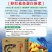 进口鱼蛋白原浆