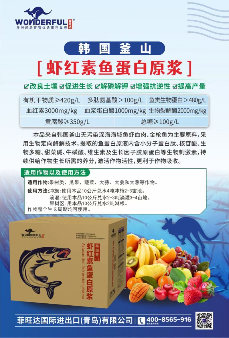进口鱼蛋白原浆