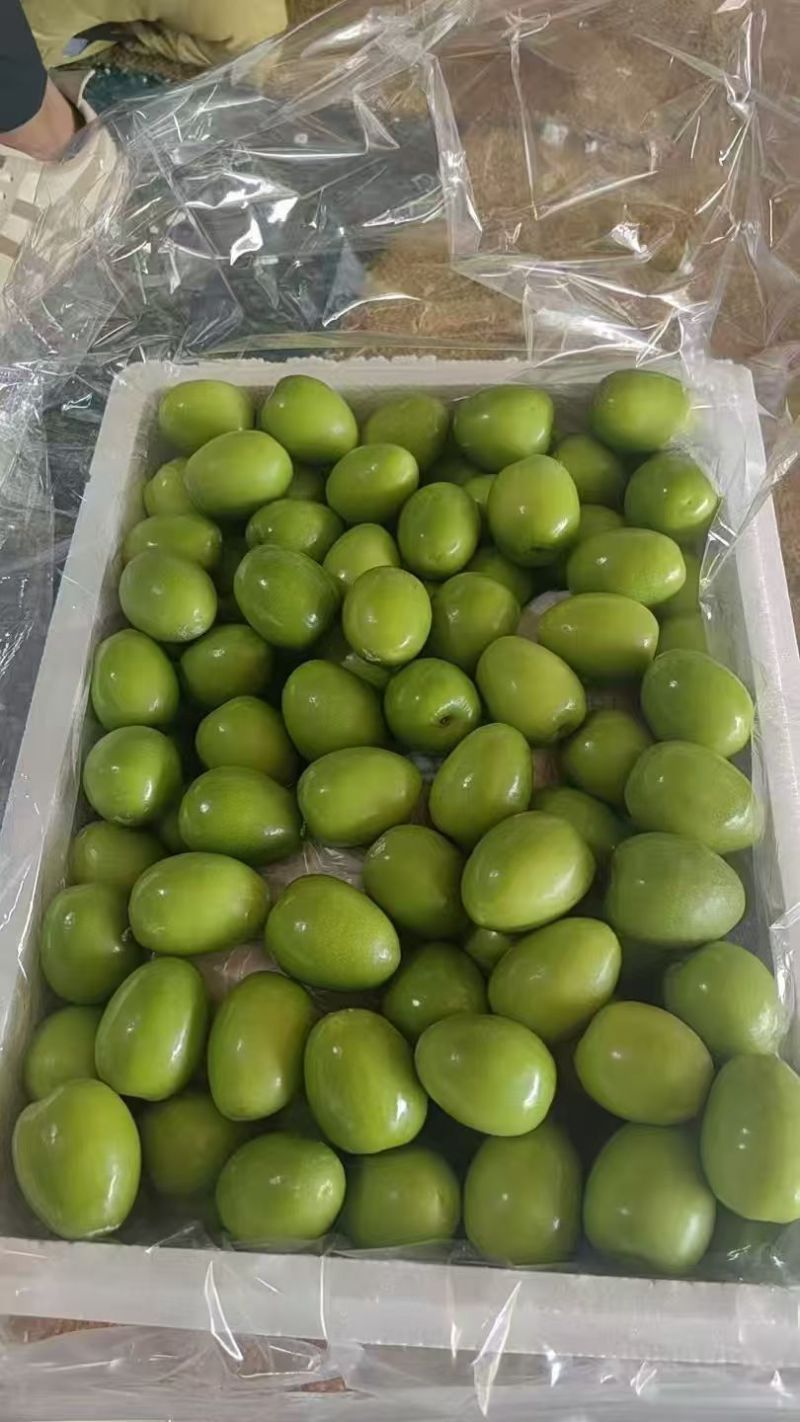 牛奶果，大青枣