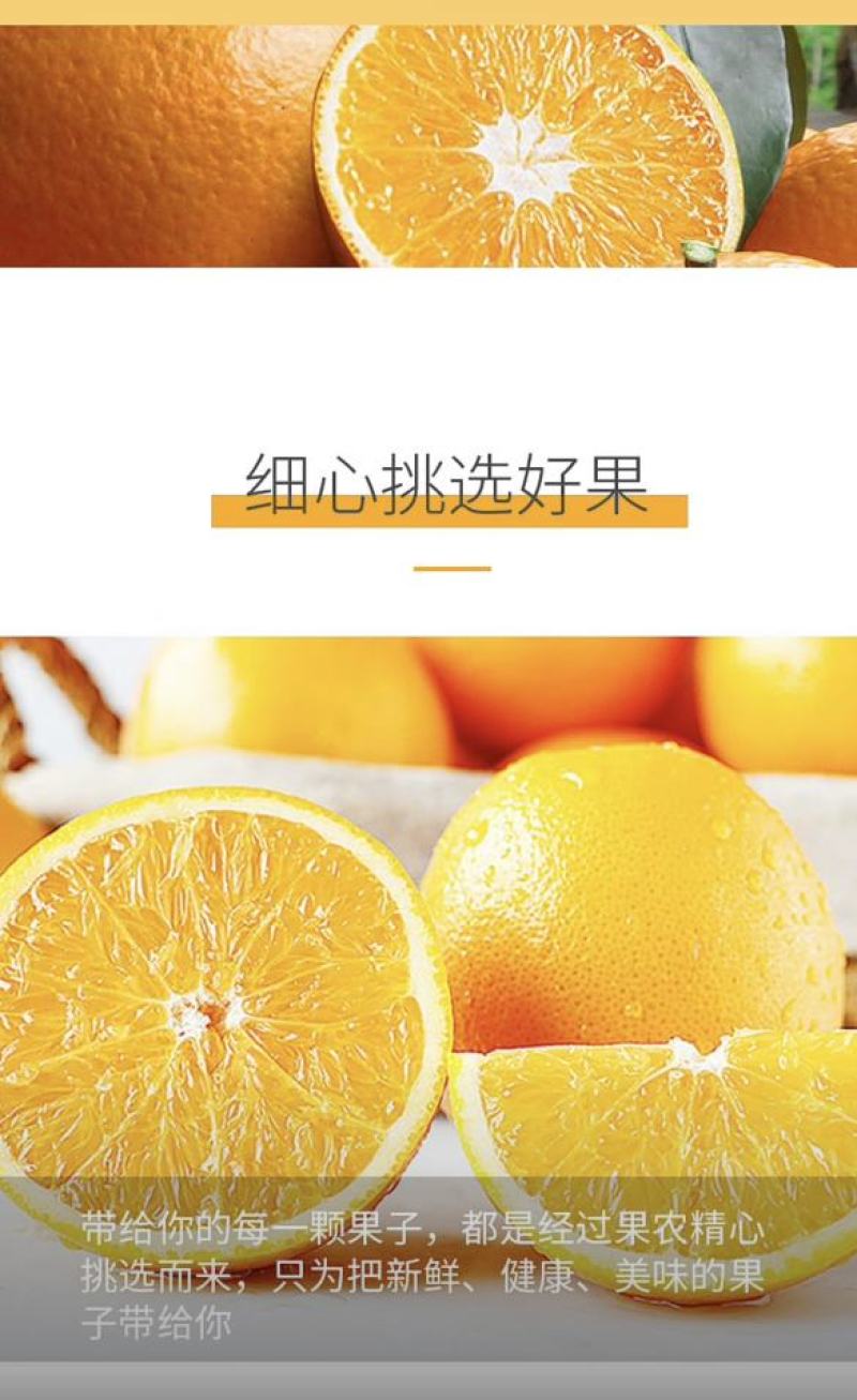赣南脐橙