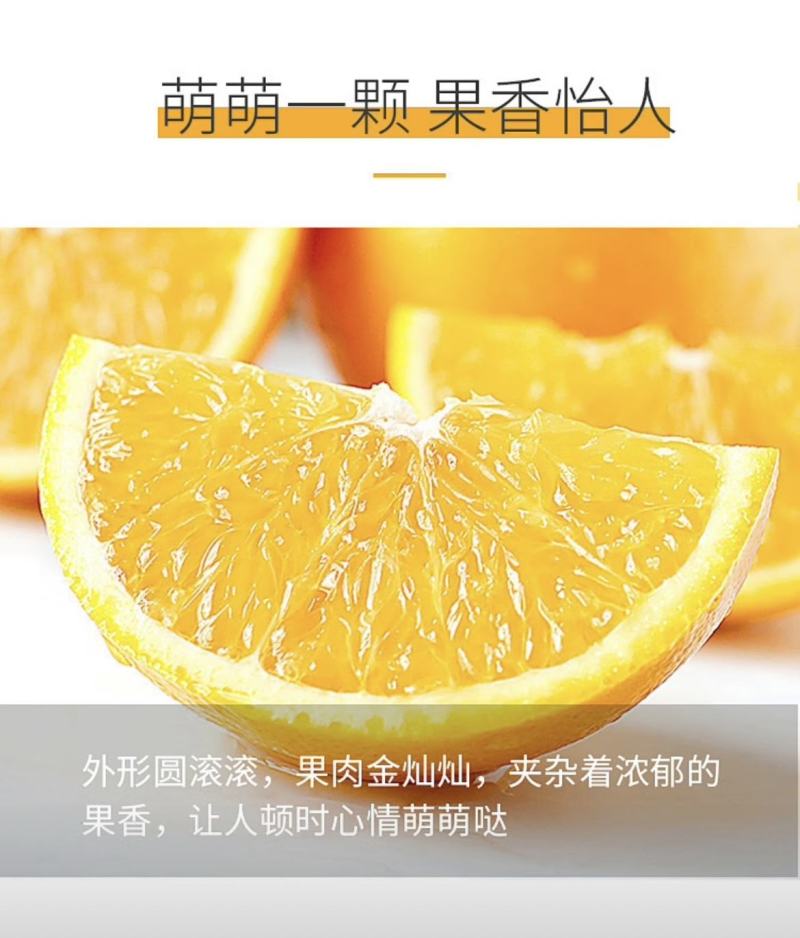 赣南脐橙