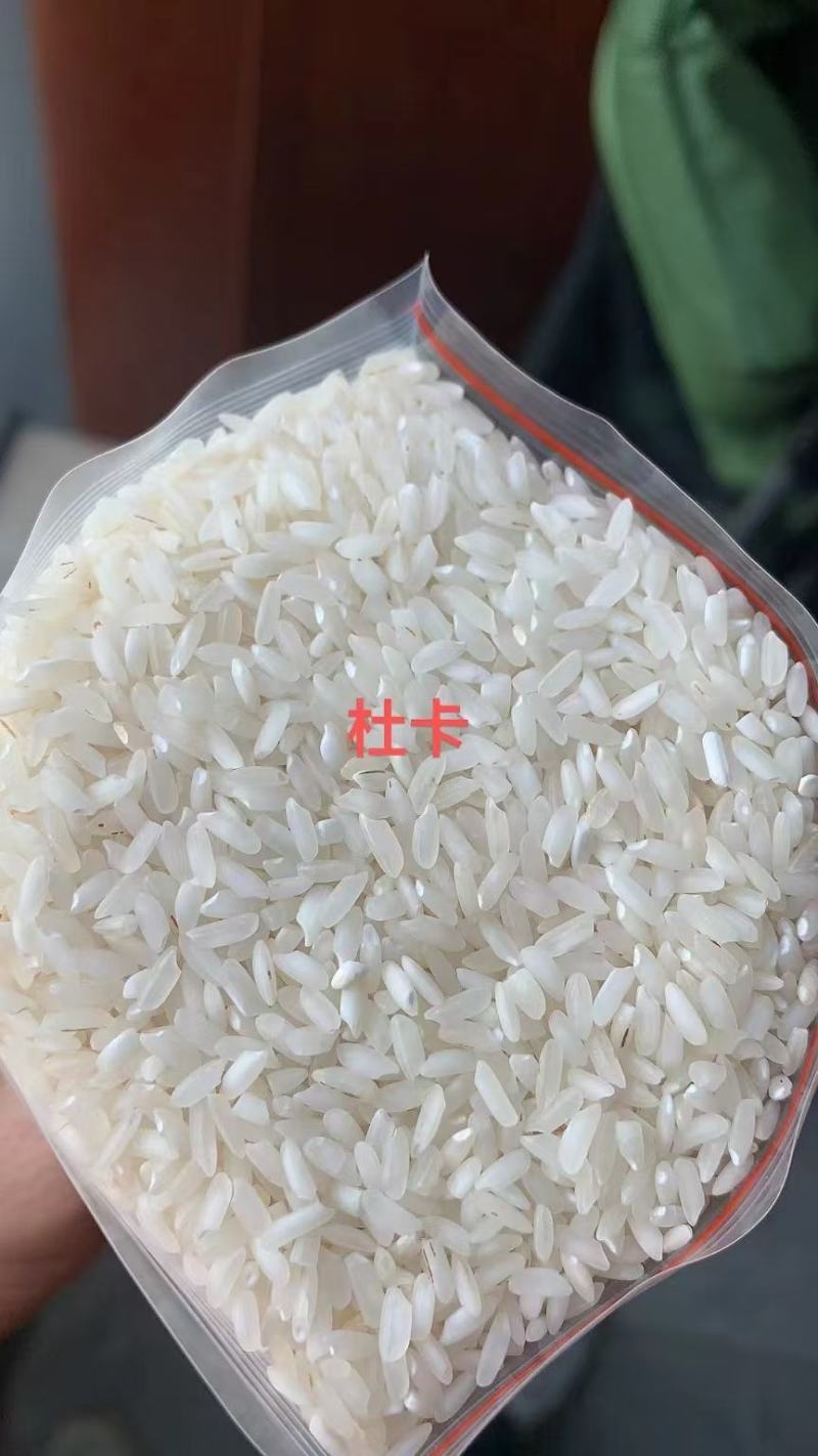 杜卡碎米缅甸碎米早米桂朝粉米