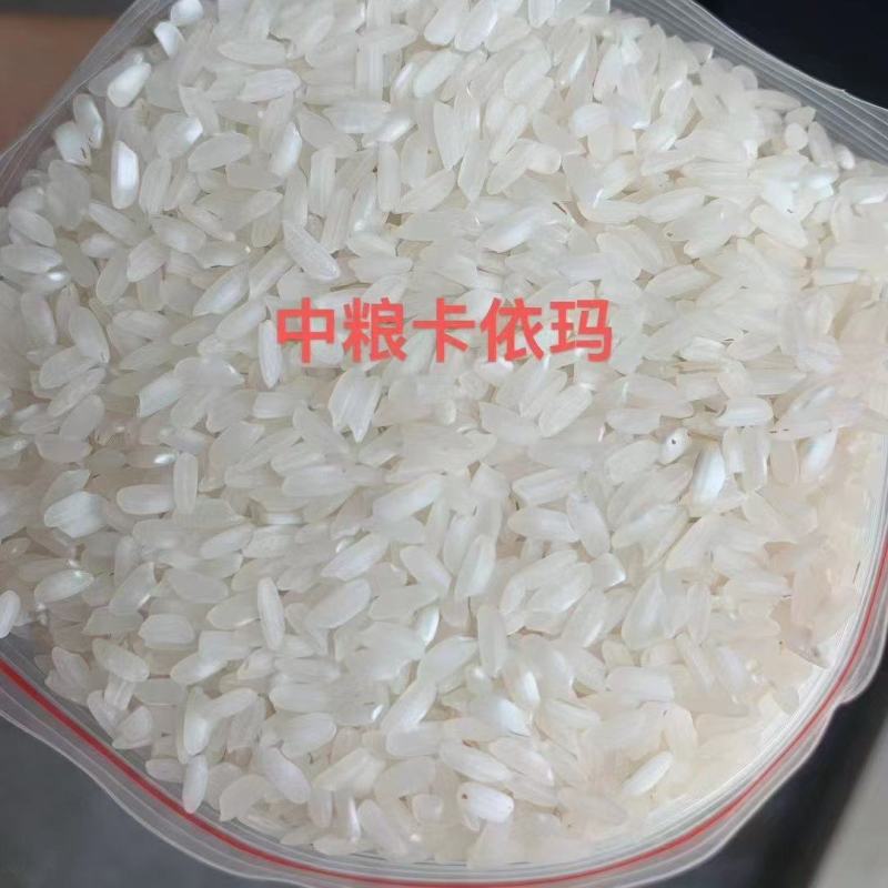 杜卡碎米缅甸碎米早米桂朝粉米