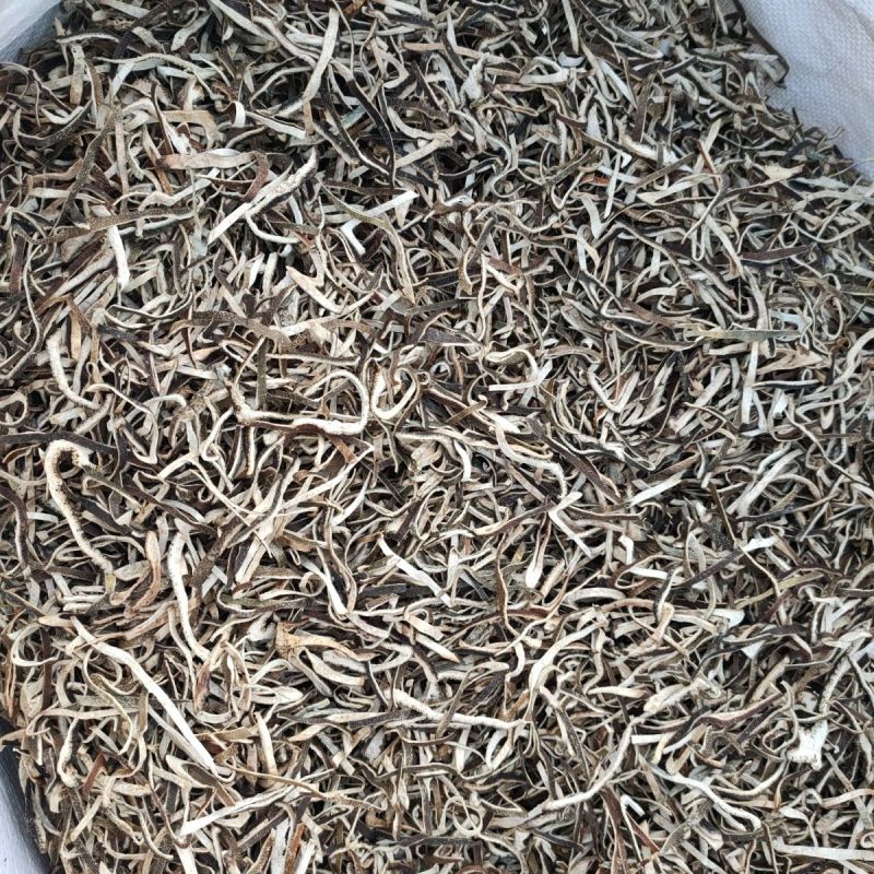 青皮中药材正宗无硫自然风光无硫***康养斋中药材