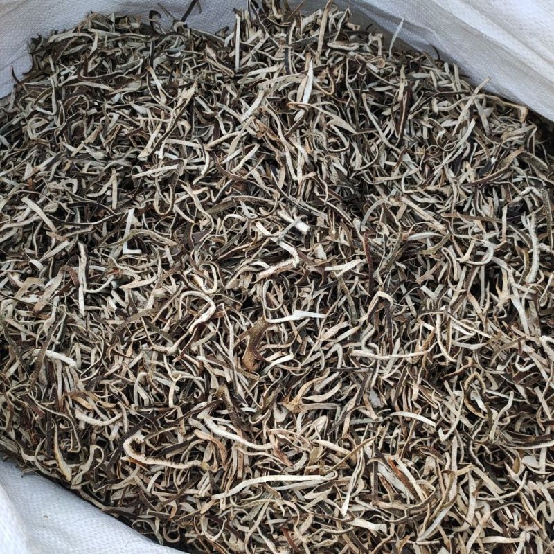 青皮中药材正宗无硫自然风光无硫***康养斋中药材