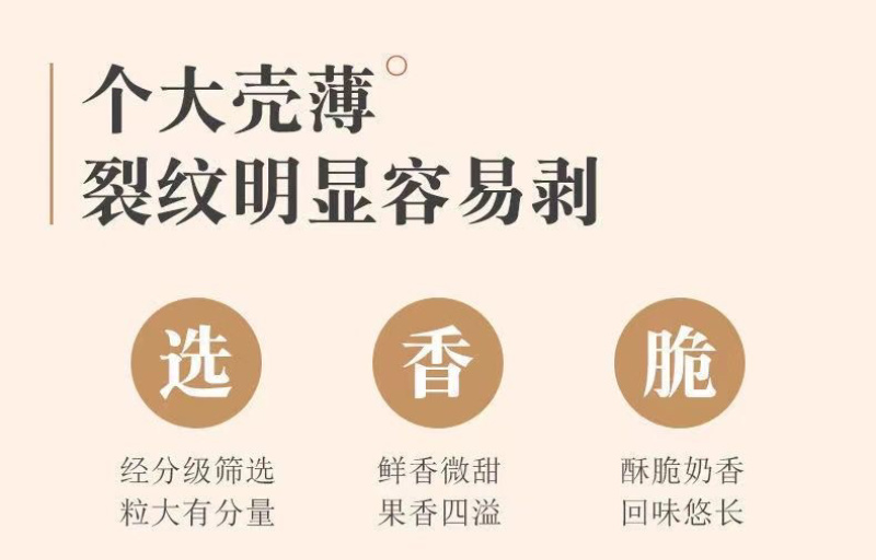 一件代发，碧根果，自有云仓