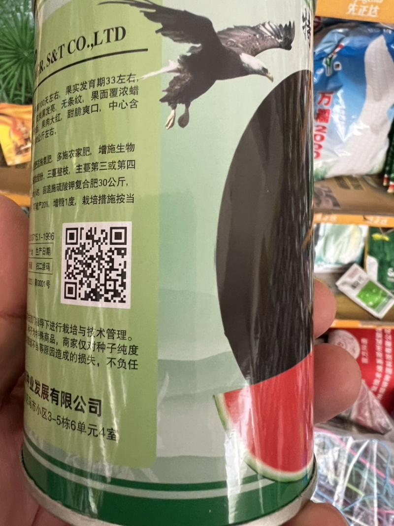 西爪种子黑神无籽，纯黑皮，三倍体高品质，正圆形