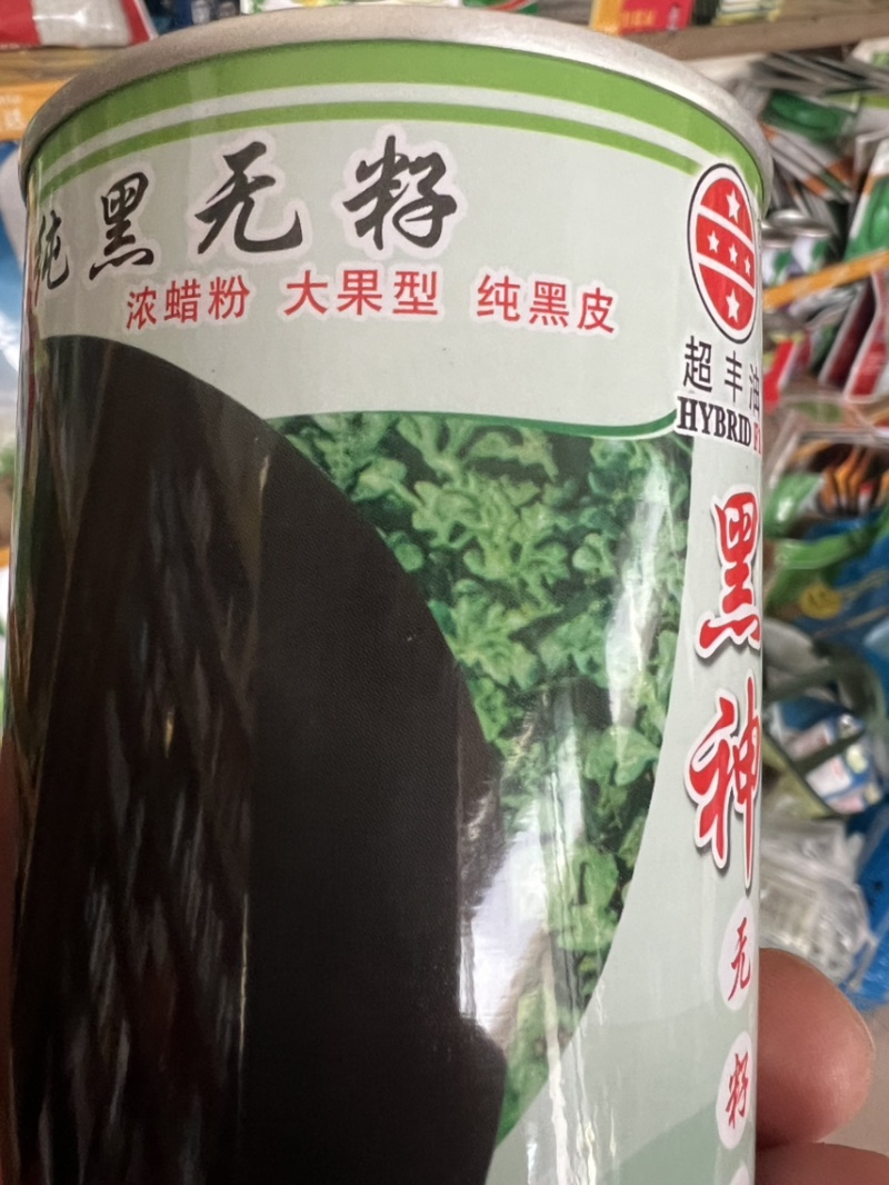 西爪种子黑神无籽，纯黑皮，三倍体高品质，正圆形