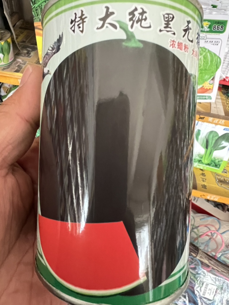 西爪种子黑神无籽，纯黑皮，三倍体高品质，正圆形