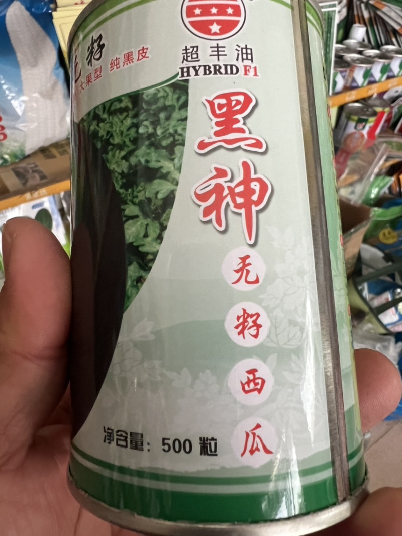 西爪种子黑神无籽，纯黑皮，三倍体高品质，正圆形