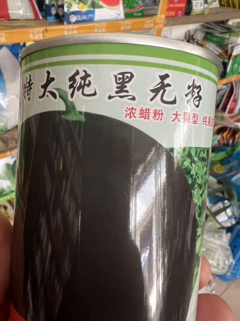 西爪种子黑神无籽，纯黑皮，三倍体高品质，正圆形