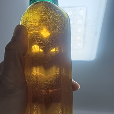 霜降季节老树小籽土榨山茶油