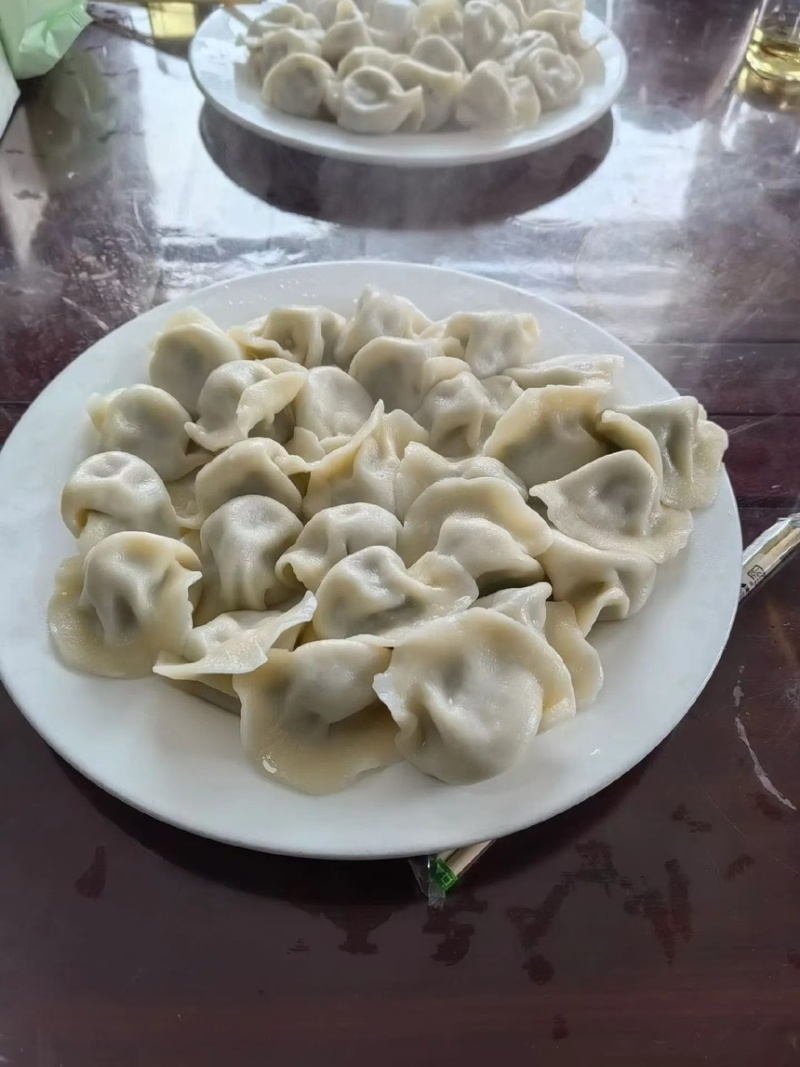 水饺手工水饺速冻水饺三鲜水饺素水饺一手货源批发
