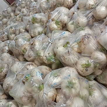 蔬菜