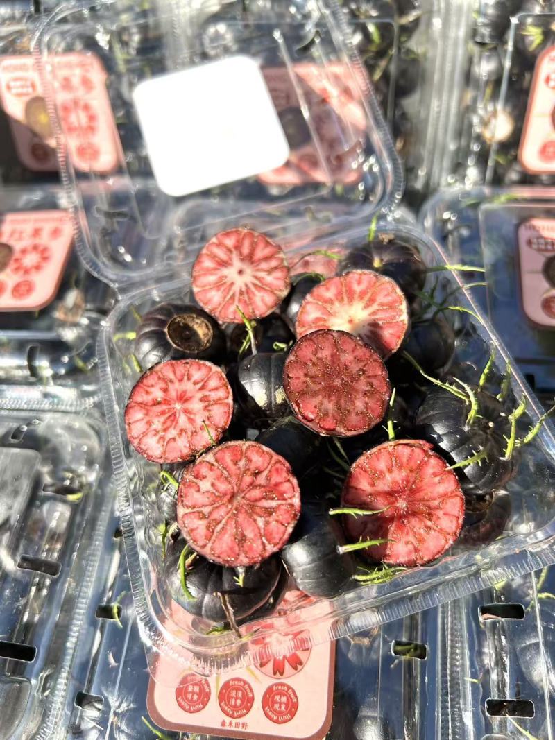 批发/一件代发货(顺丰/普通)云南红果参酸甜多汁营养丰富