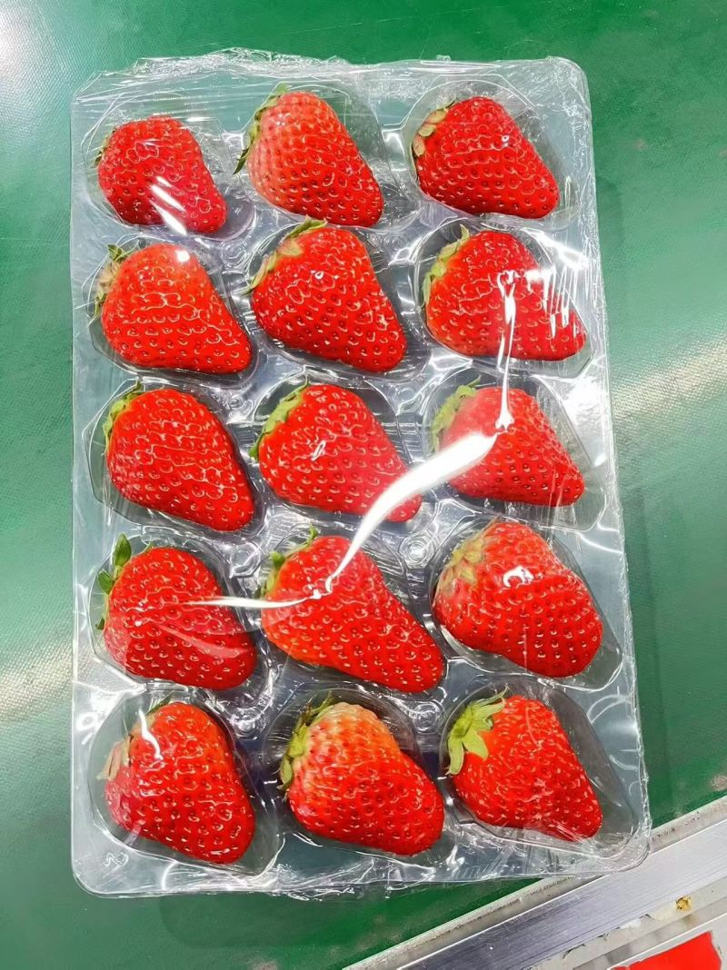 丹东九九草莓