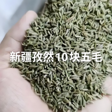 新疆孜然