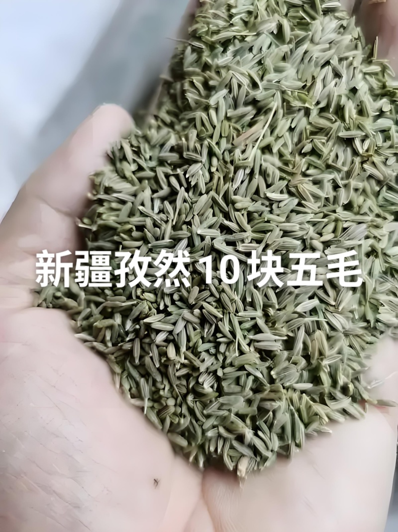 新疆孜然