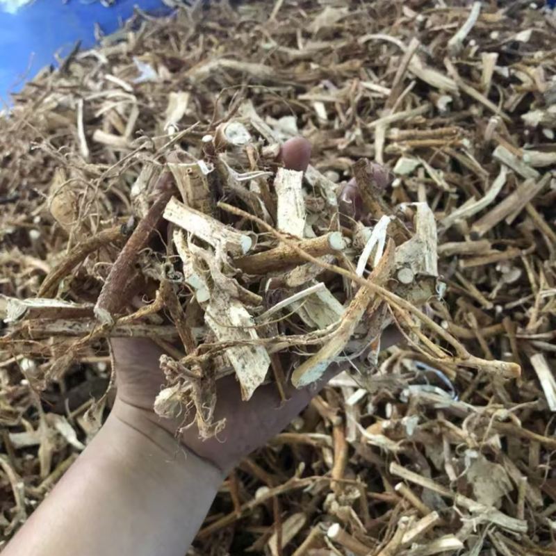 爆根
