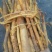 新鲜野生穿破石，***********