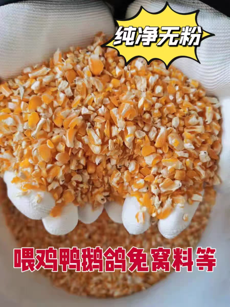 净粮碎玉米粒水分百分之十送货上门全国发货无土无沙