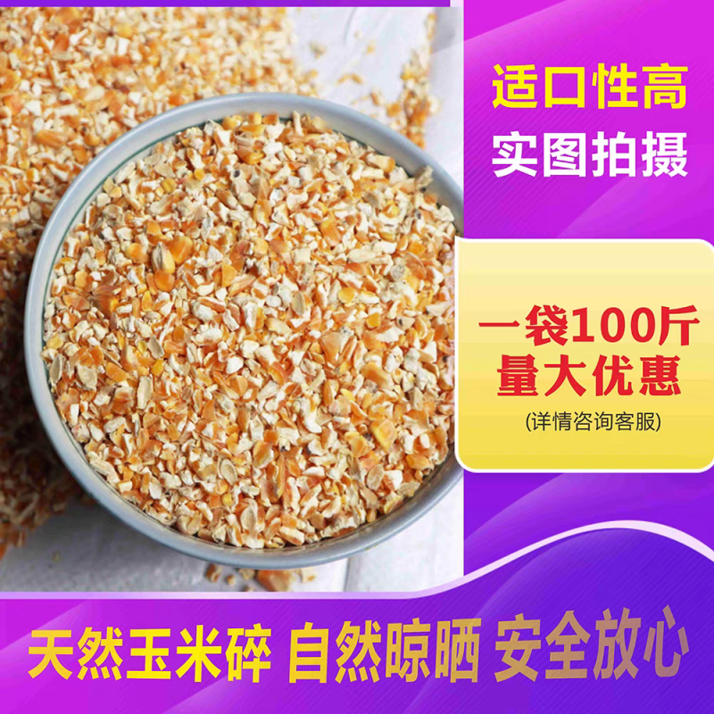 净粮碎玉米粒水分百分之十送货上门全国发货无土无沙