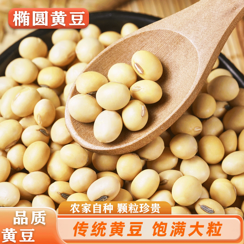 大豆黄豆粒做豆腐榨油做豆浆水分百分之九全国发货