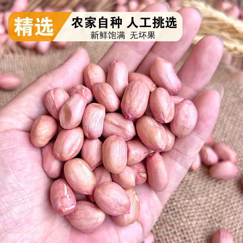花生米水分百分之十可榨油做食品无霉无坏颗粒全国发货