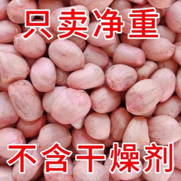 大白沙花生米水分百分之十无霉无坏颗粒全国发货中码