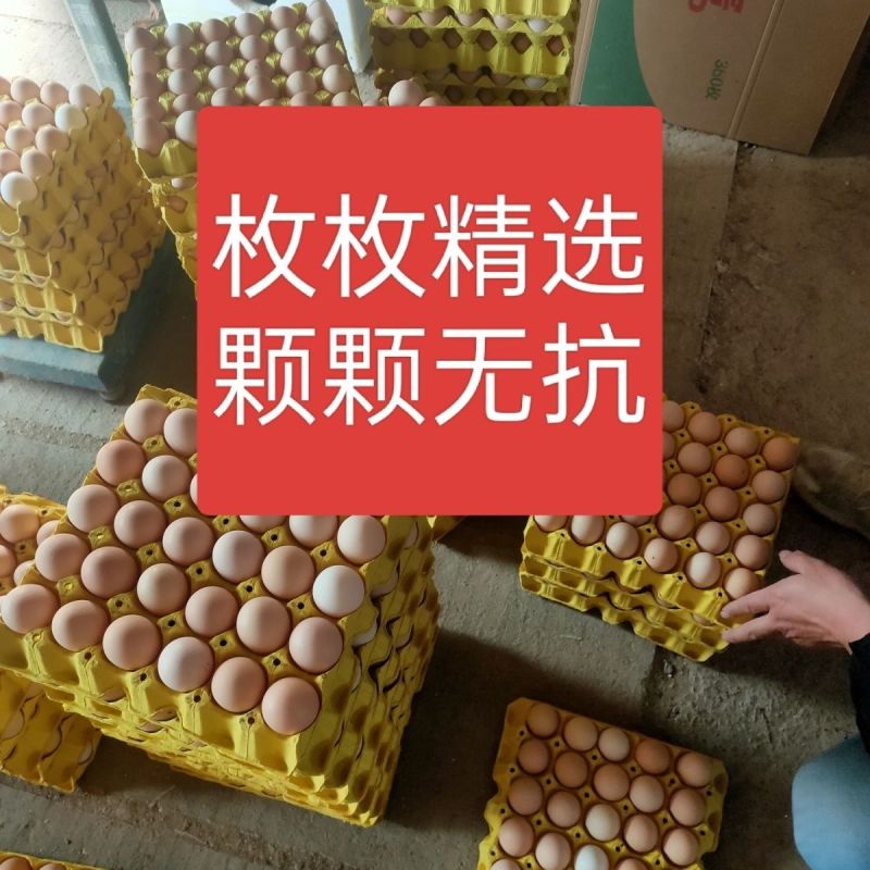 鸡蛋土鸡蛋红壳鸡蛋洋鸡蛋无坏果全国发货送货上门