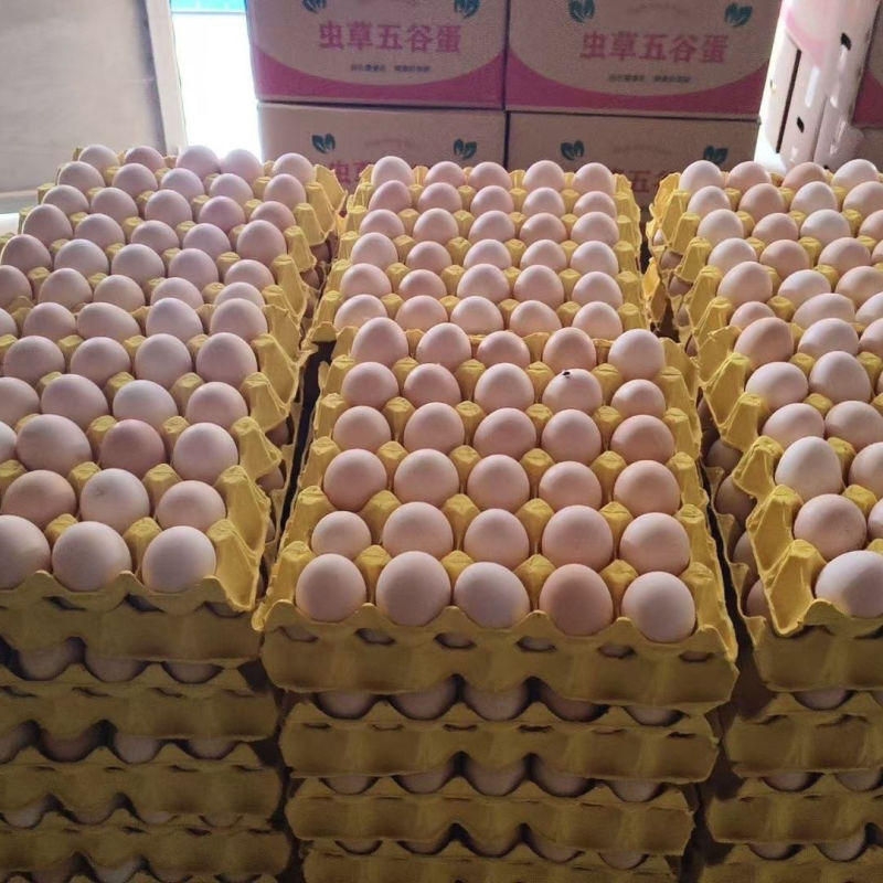鸡蛋土鸡蛋红壳鸡蛋洋鸡蛋无坏果全国发货送货上门
