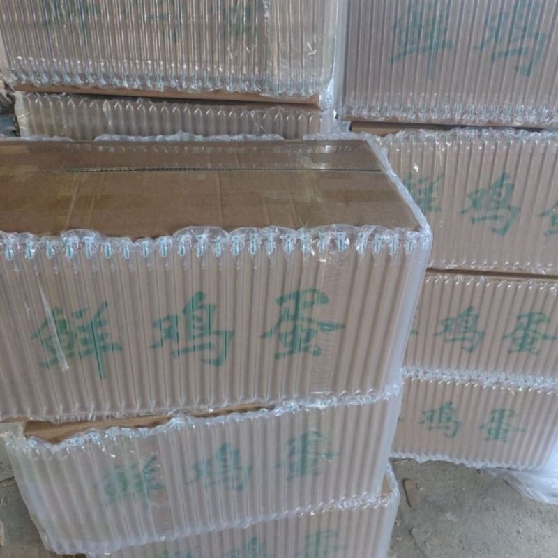 土鸡蛋红壳鸡蛋洋鸡蛋全国发货无坏果当日现捡鸡蛋