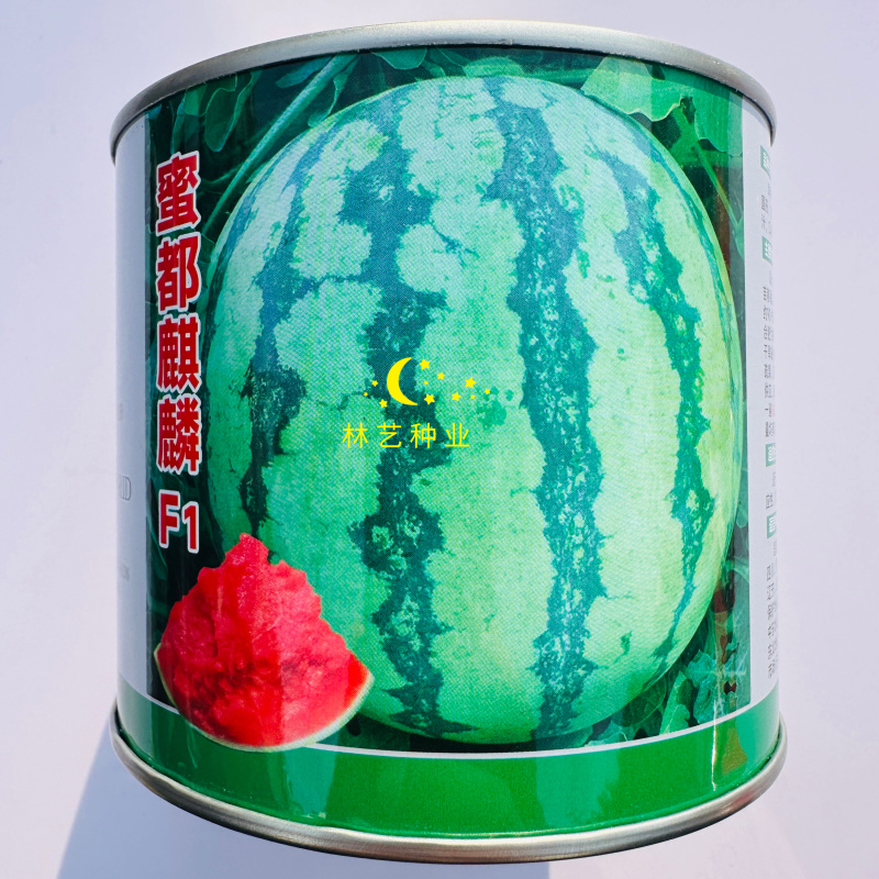蜜都麒麟早熟一代杂交西瓜种子果实圆形果肉粉红色皮薄且脆