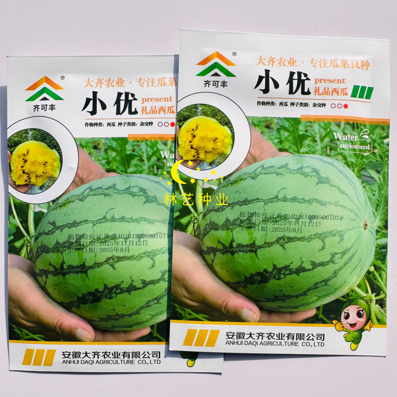 齐可丰小优礼品西瓜种子极早熟短椭圆形花皮黄瓤西瓜种籽