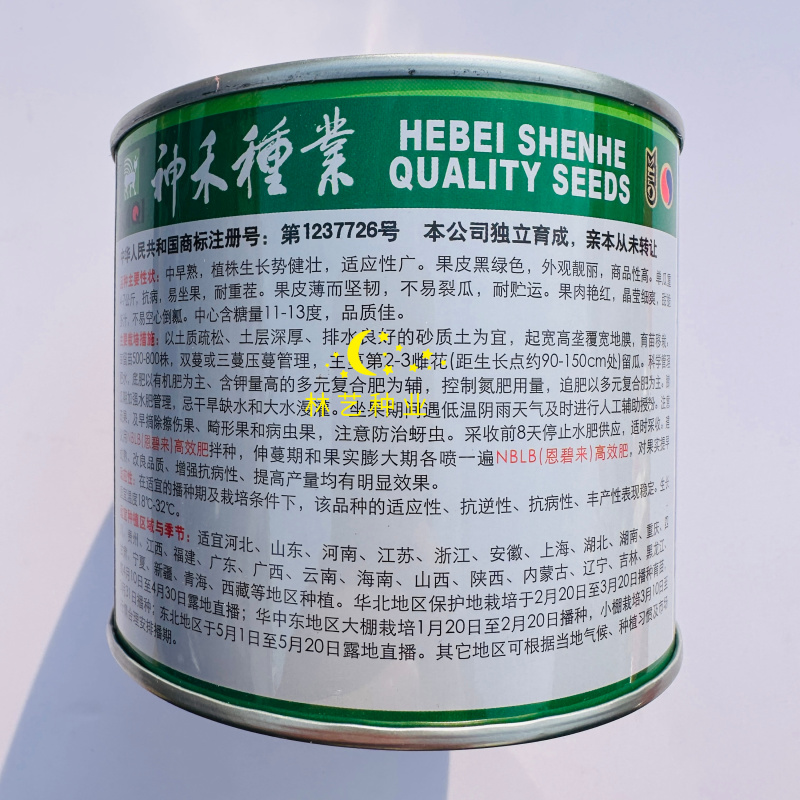 冰糖黑虎黑皮红瓤西瓜种子中早熟薄皮大果耐裂抗病抗重茬西瓜