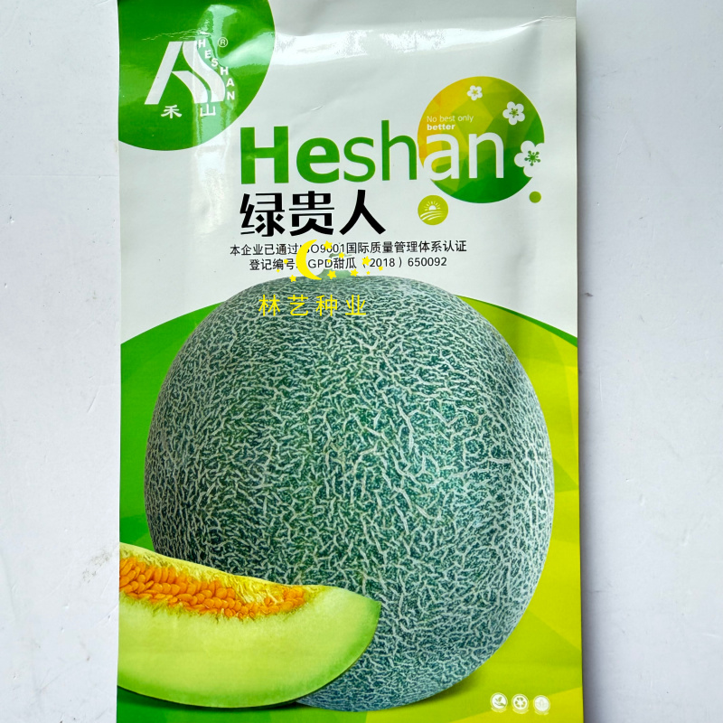 新疆禾山绿贵人甜瓜种子水果网纹甜瓜厚皮香瓜四季超大甜瓜籽