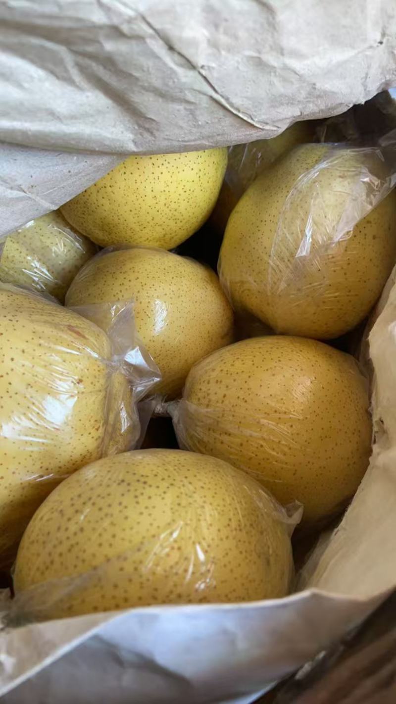 雪花梨货源充足价格实惠有意者请联系我